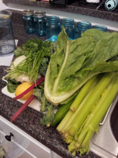 My juicing veggies! This has been an awesome experience. I appreciate all the support and attention we are getting from all of you. It is making it so much easier -Sandra