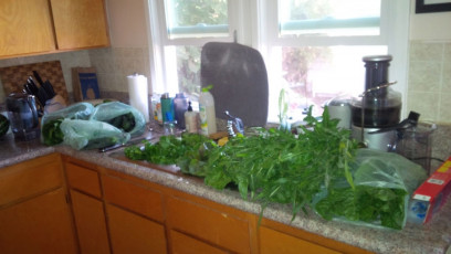 5 Bags of Green stuff from today's Farmers Market! Think I'm ready... :) -Kersten