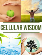 Cellular Wisdom