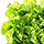 green-leafy