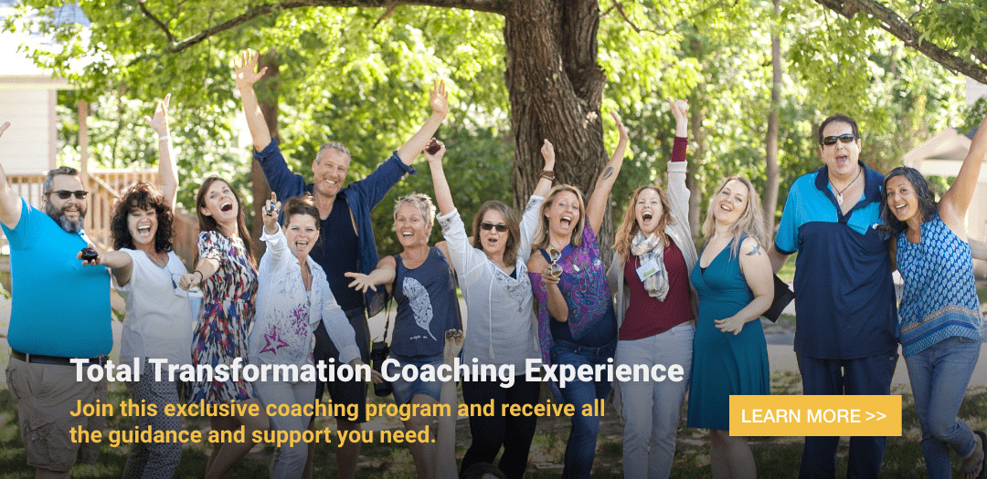 Total Transformation Coaching Experience